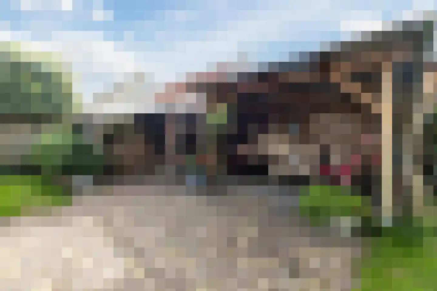 IJsselland 24 Nieuwleusen thumbnail 46