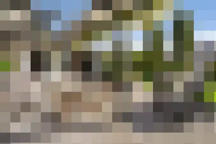 IJsselmeer 7 Naaldwijk thumbnail 17