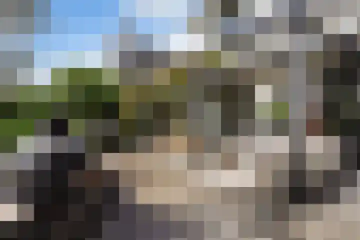 IJsselmeer 7 Naaldwijk thumbnail 19
