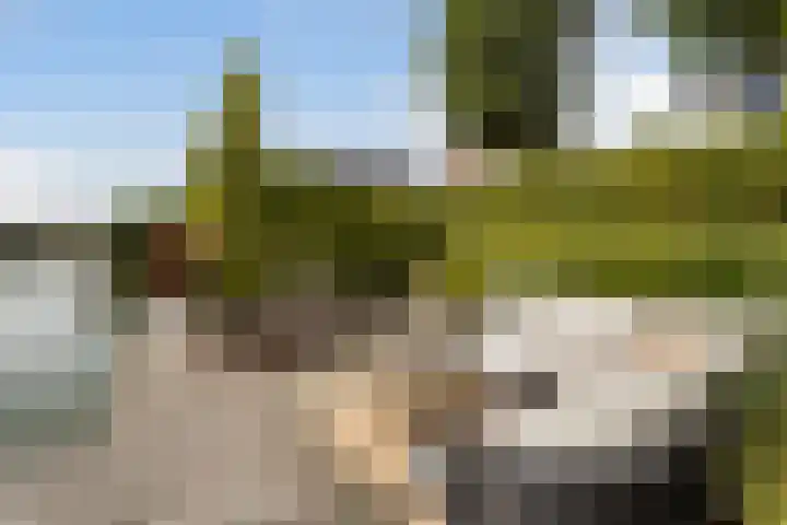 IJsselmeer 7 Naaldwijk thumbnail 21