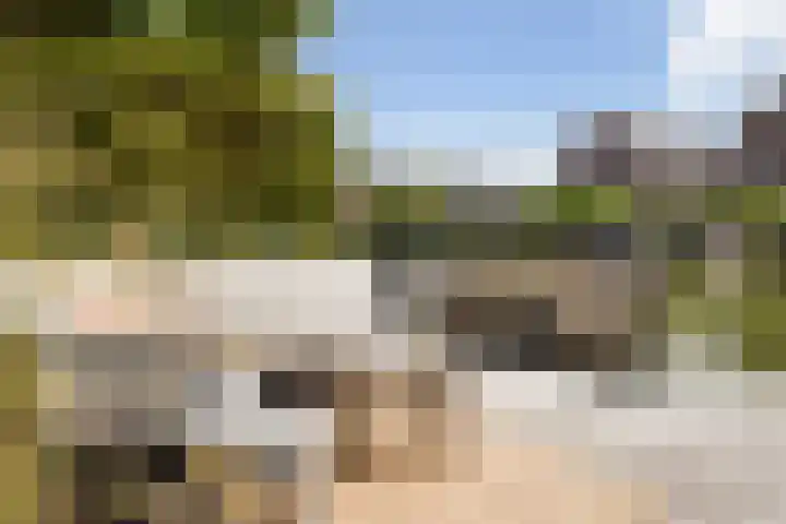 IJsselmeer 7 Naaldwijk thumbnail 22