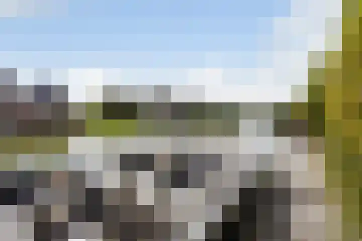 IJsselmeer 7 Naaldwijk thumbnail 23