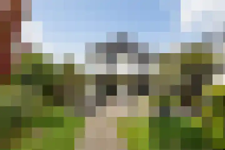 IJsselmeer 7 Naaldwijk thumbnail 24