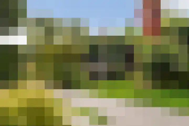 IJsselmeer 7 Naaldwijk thumbnail 28