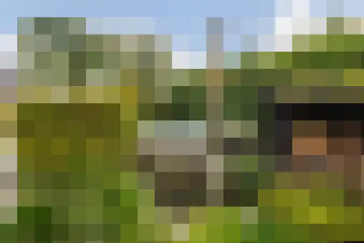 IJsselmeer 7 Naaldwijk thumbnail 29