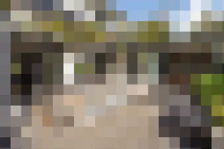 IJsselmeer 7 Naaldwijk thumbnail 30
