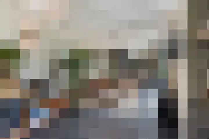 IJsselmeer 7 Naaldwijk thumbnail 33