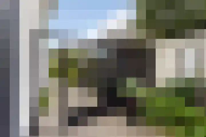 IJsselmeer 7 Naaldwijk thumbnail 35