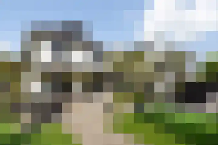 IJsselmeer 7 Naaldwijk thumbnail 4
