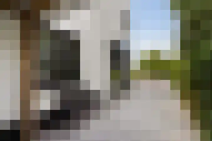 IJsselmeer 7 Naaldwijk thumbnail 66