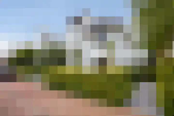 IJsselmeer 7 Naaldwijk thumbnail 67