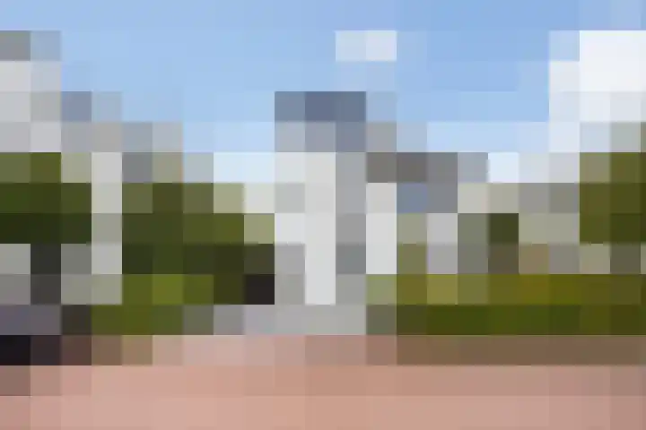 IJsselmeer 7 Naaldwijk thumbnail 69
