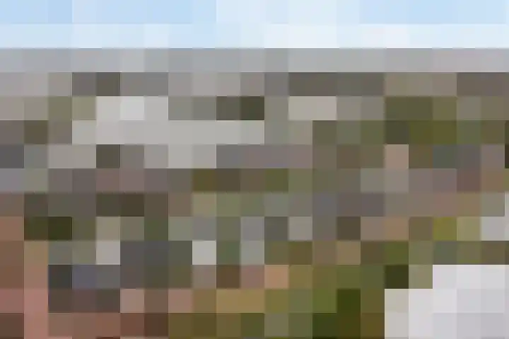 IJsselmeer 7 Naaldwijk thumbnail 73
