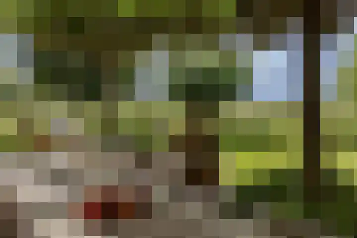 IJsselmeerdijk 26 Warder thumbnail 37