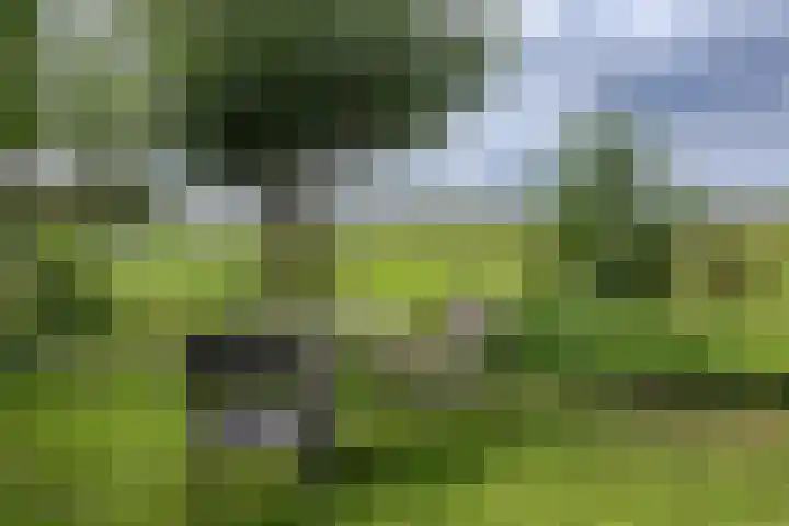 IJsselmeerdijk 26 Warder thumbnail 38