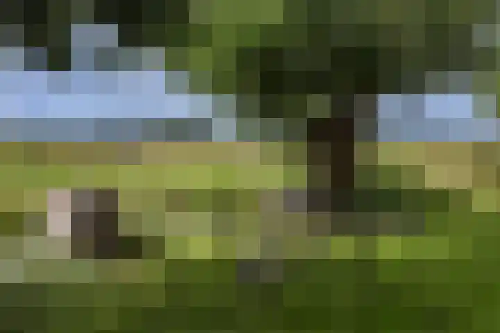 IJsselmeerdijk 26 Warder thumbnail 39