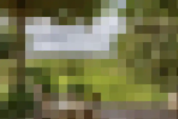 IJsselmeerdijk 26 Warder thumbnail 4