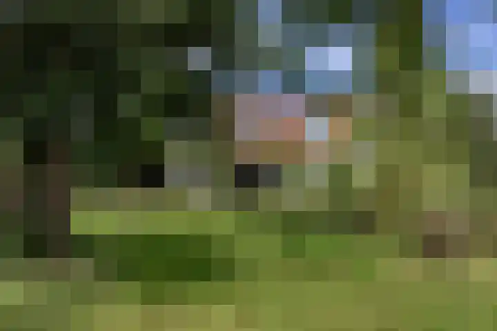 IJsselmeerdijk 26 Warder thumbnail 41