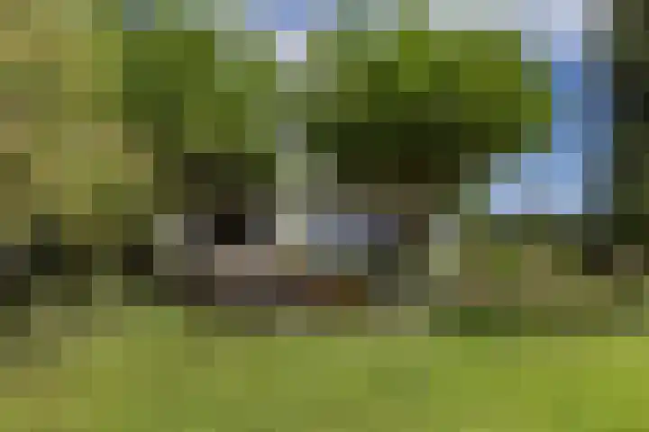 IJsselmeerdijk 26 Warder thumbnail 42