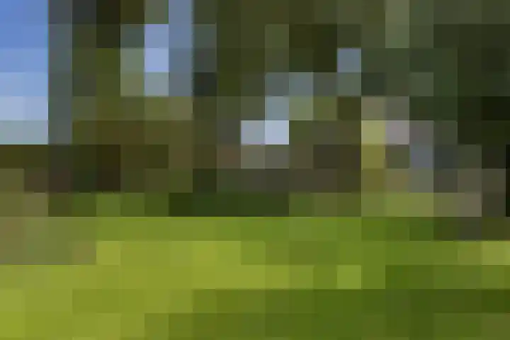 IJsselmeerdijk 26 Warder thumbnail 43
