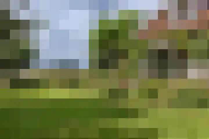 IJsselmeerdijk 26 Warder thumbnail 44