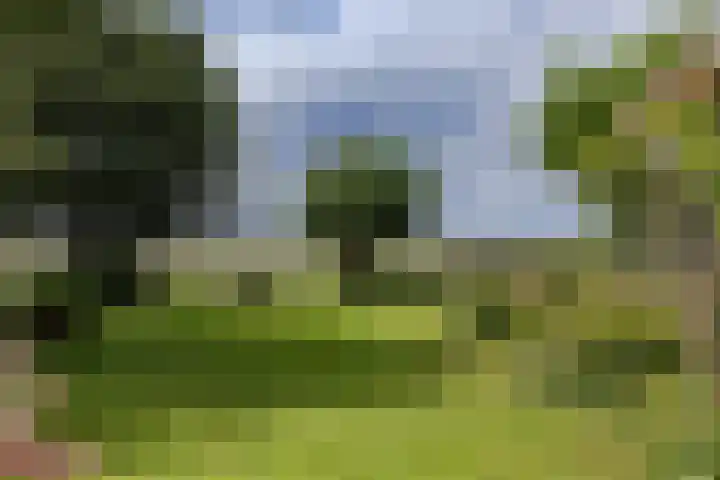IJsselmeerdijk 26 Warder thumbnail 45