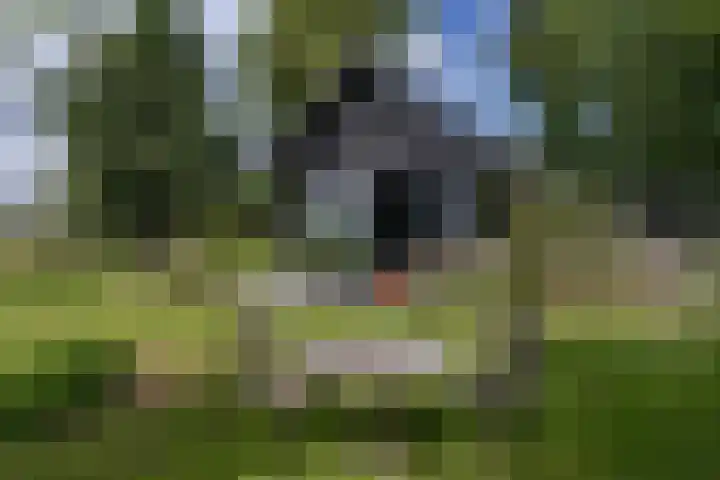 IJsselmeerdijk 26 Warder thumbnail 6