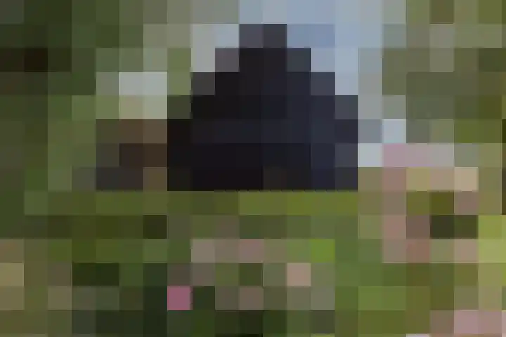 IJsselmeerdijk 26 Warder thumbnail 8