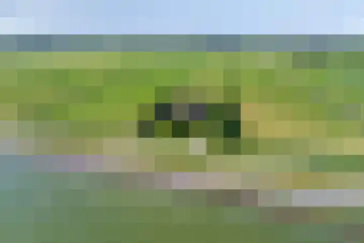 IJsselmeerdijk 31 Warder thumbnail 42