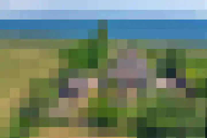 IJsselmeerdijk 31 Warder thumbnail 43