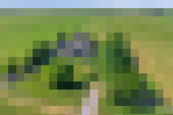 IJsselmeerdijk 31 Warder thumbnail 44