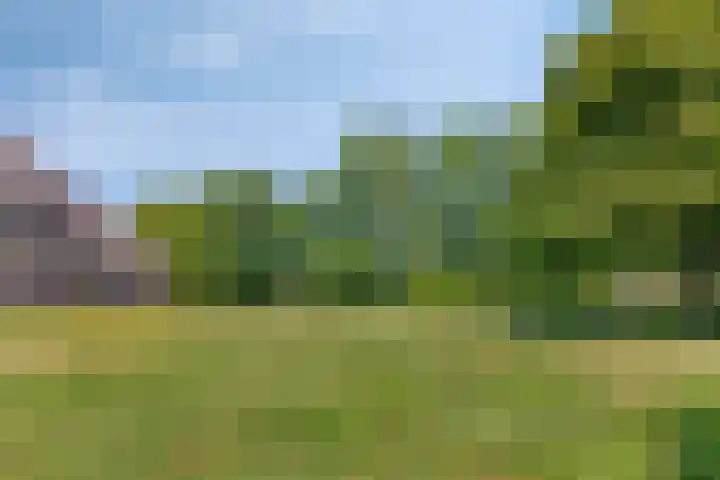 IJsselmeerdijk 31 Warder thumbnail 48