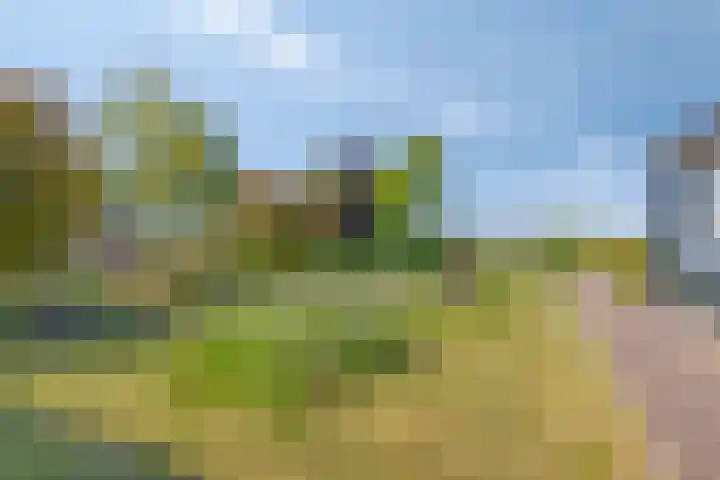 IJsselmeerdijk 31 Warder thumbnail 52