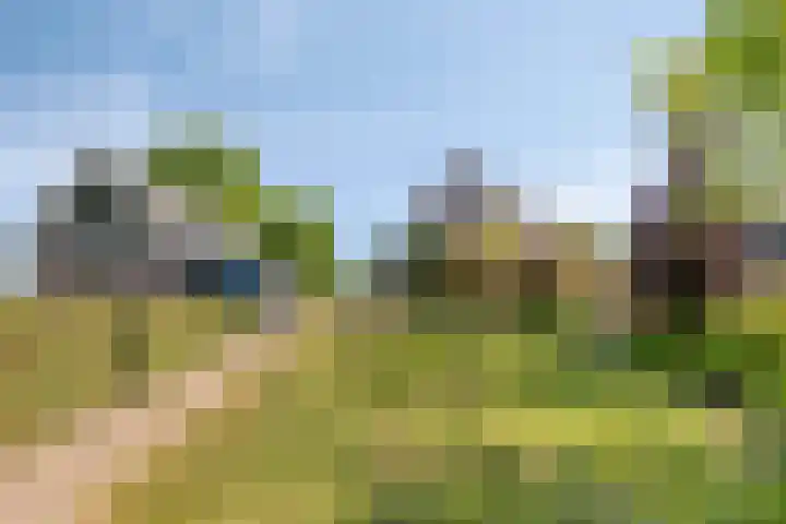 IJsselmeerdijk 31 Warder thumbnail 59