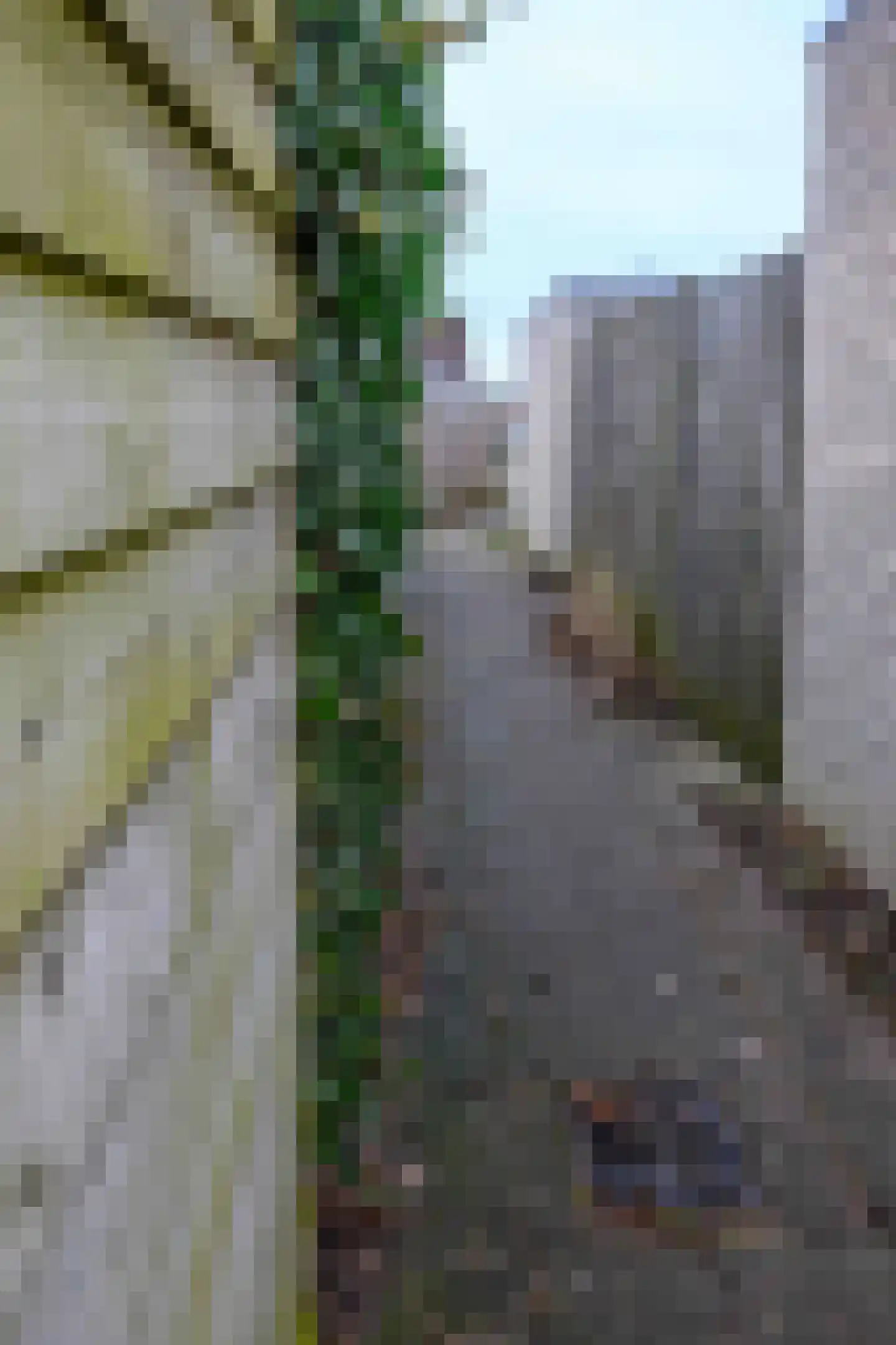 IJsselmeerlaan 188 Emmeloord thumbnail 11