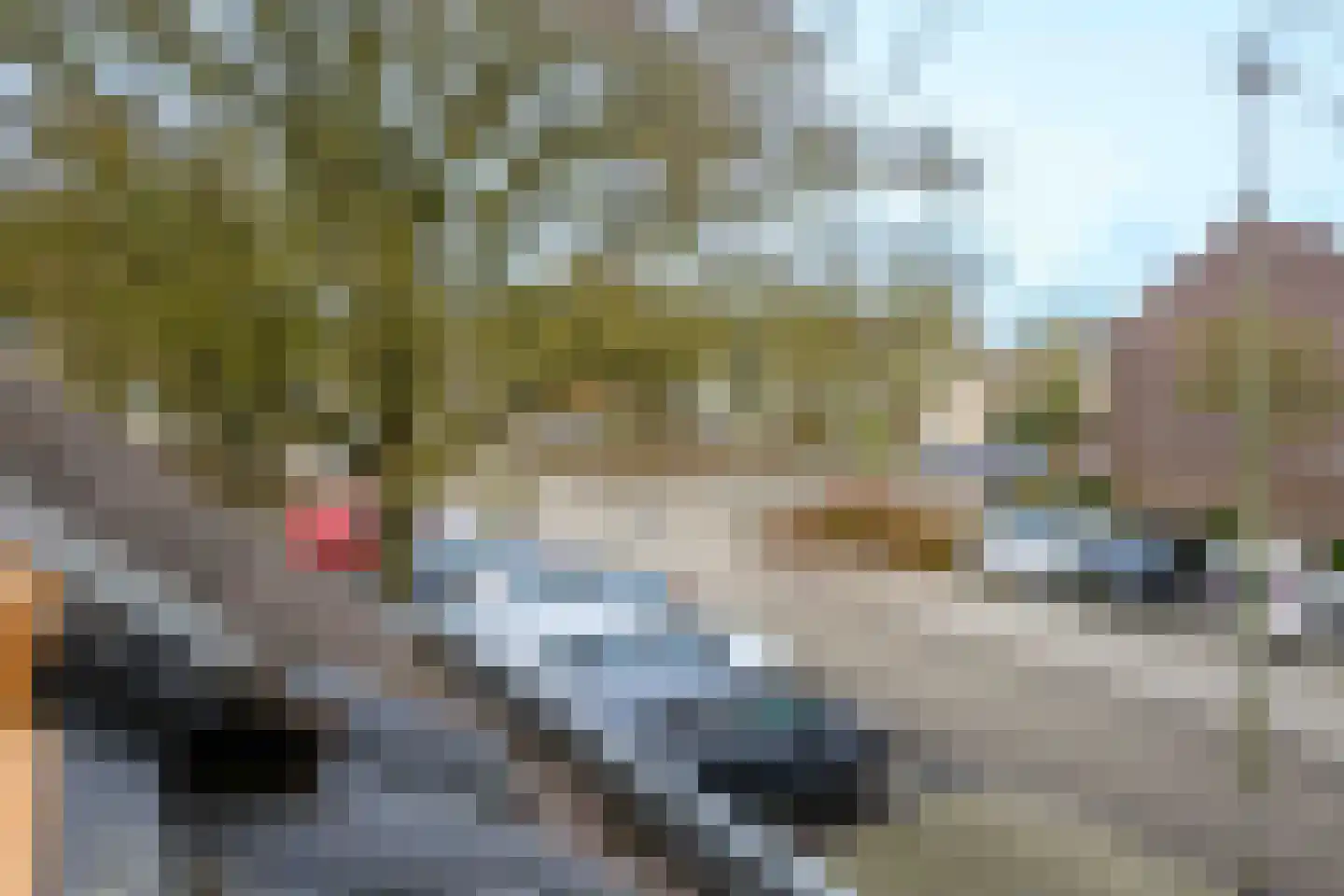 IJsselmeerlaan 188 Emmeloord thumbnail 25