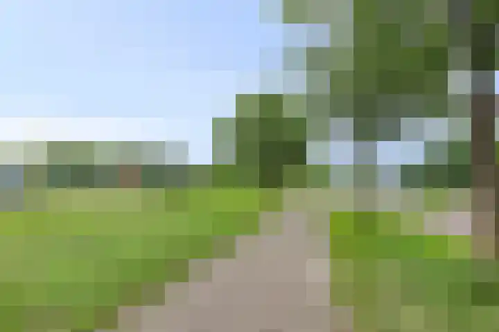 IJsselmeerlaan 194 Emmeloord thumbnail 28