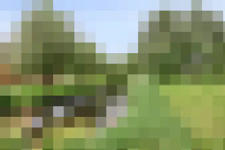 IJsselmeerlaan 194 Emmeloord thumbnail 29