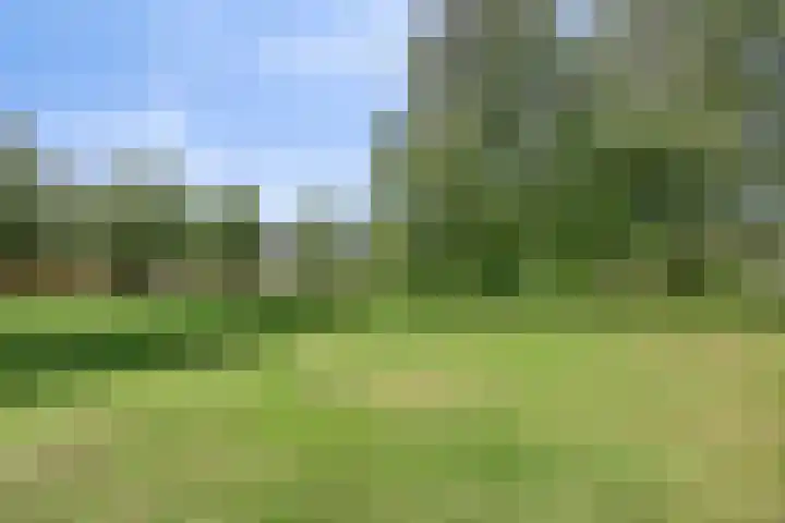 IJsselmeerlaan 194 Emmeloord thumbnail 4