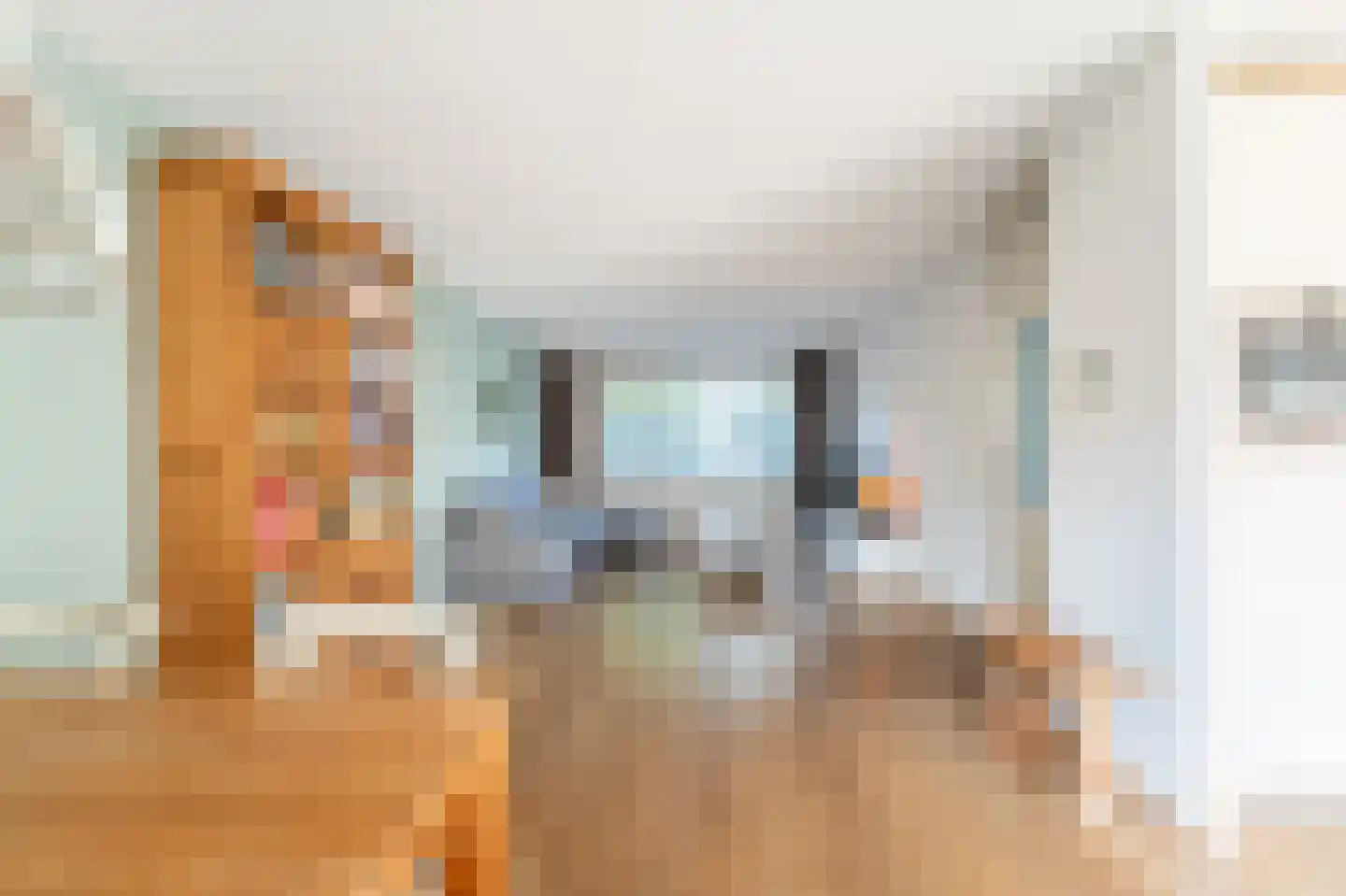 IJsselmeerlaan 60 Emmeloord thumbnail 18