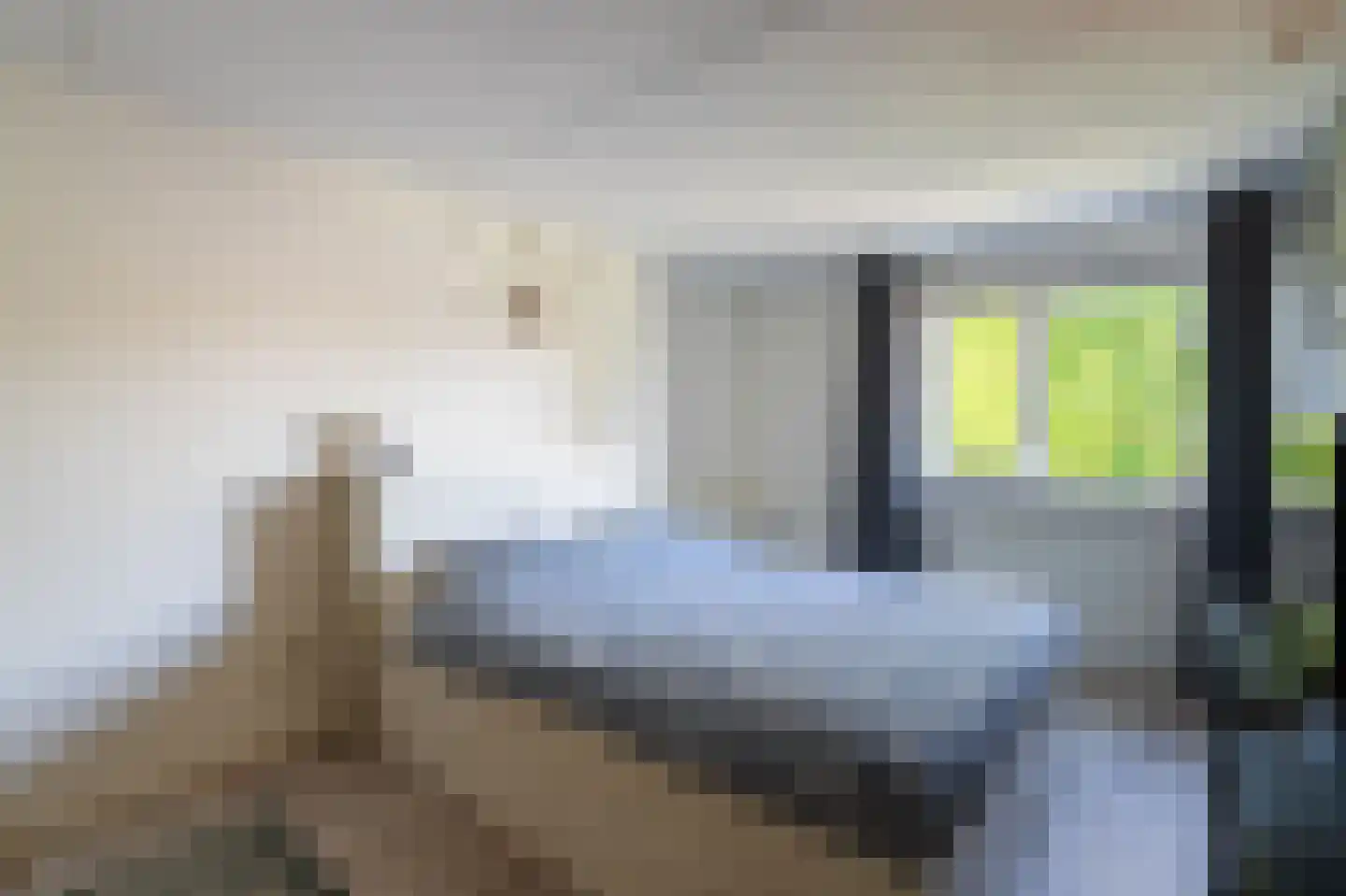IJsselmeerlaan 60 Emmeloord thumbnail 26