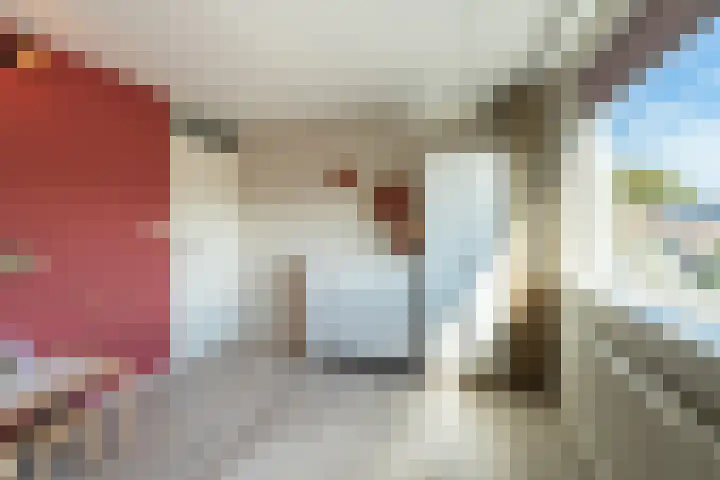 IJsselmeerlaan 60 Emmeloord thumbnail 31