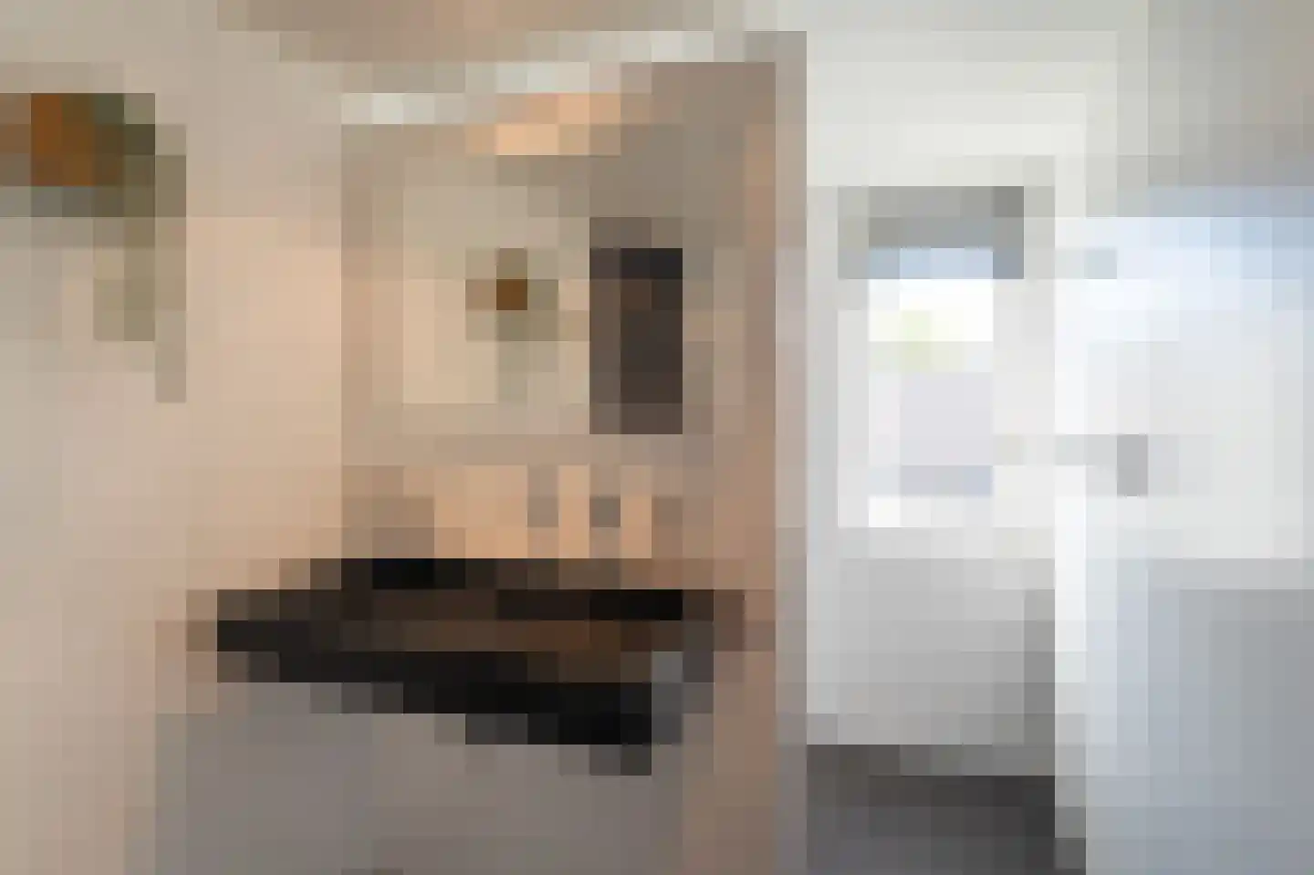 IJsselmeerlaan 60 Emmeloord thumbnail 35
