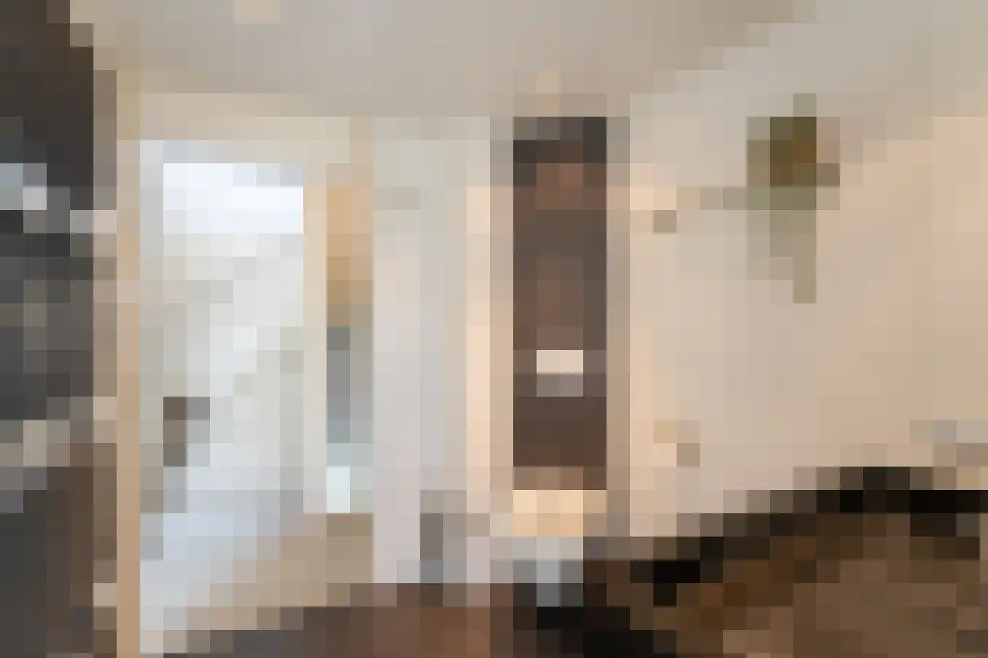 IJsselmeerlaan 60 Emmeloord thumbnail 37