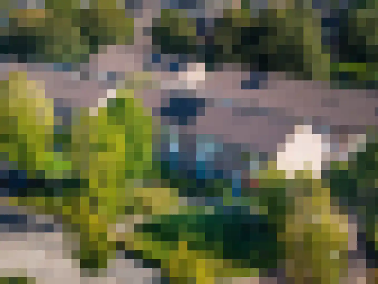 IJsselmeerlaan 60 Emmeloord thumbnail 48