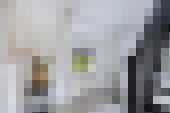 IJsselmeerlaan 93 Emmeloord thumbnail 15