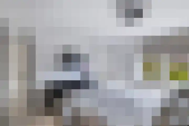 IJsselmeerlaan 93 Emmeloord thumbnail 16