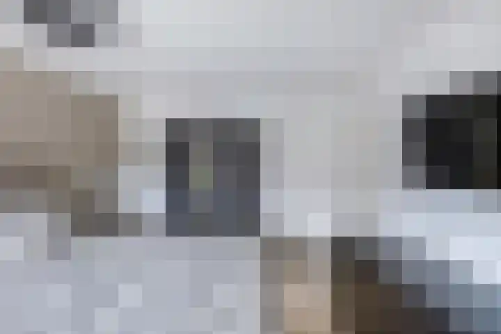 IJsselmeerlaan 93 Emmeloord thumbnail 17