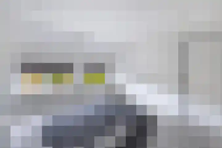 IJsselmeerlaan 93 Emmeloord thumbnail 19