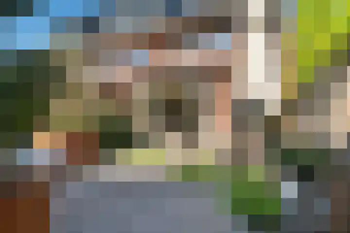 IJsselmeerstraat 130 Huizen thumbnail 17